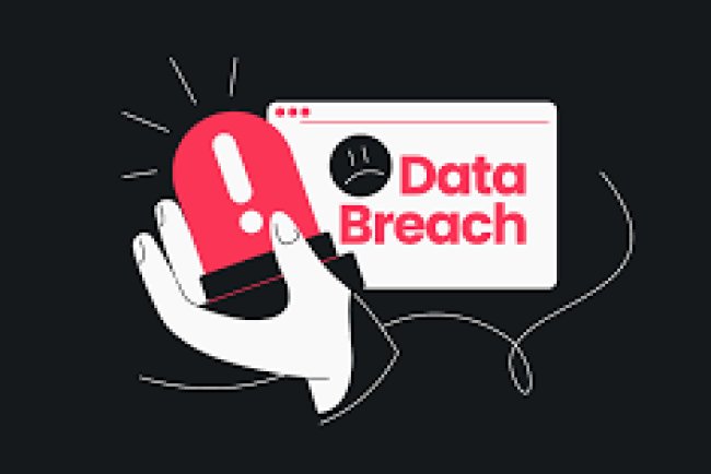 An Interior Designer Accused of Cybercrime in a Data Breach at HDFC Life Insurance