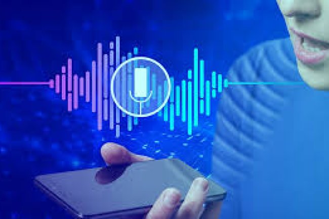 Voice Biometrics and Speaker Identification in Legal Proceedings