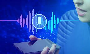 Voice Biometrics and Speaker Identification in Legal Proceedings