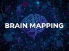 Brain Mapping: A Window into Criminal Memory