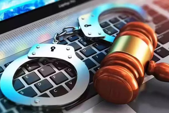 Telangana Cybercrime Unit Saves Elderly Doctor from ‘Digital Arrest’ Scam; TGCSB Foils Major Extortion Attempt