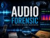 Audio Forensics